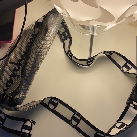 Champion - Picture 3 of 5